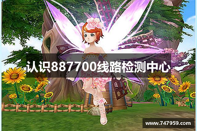 认识887700线路检测中心